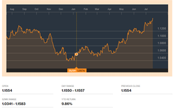 EURO DOLLARO GRAFICO